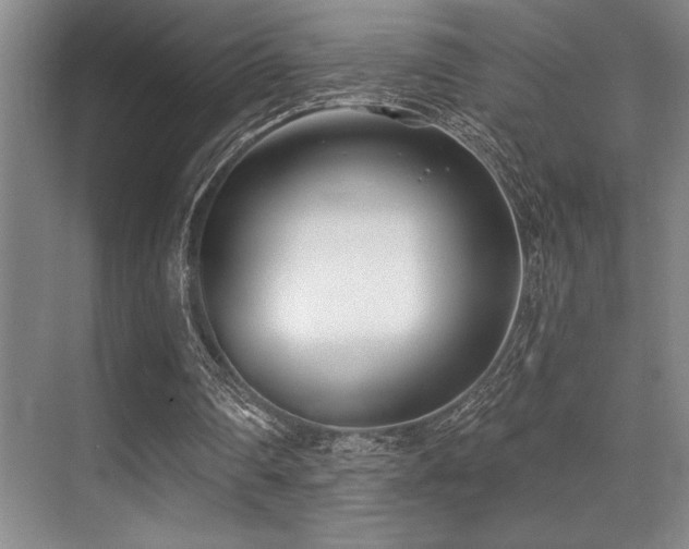 X0000071390290200606231319