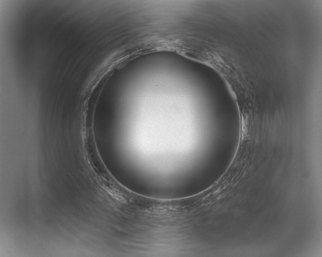 X0000071390291200606231319