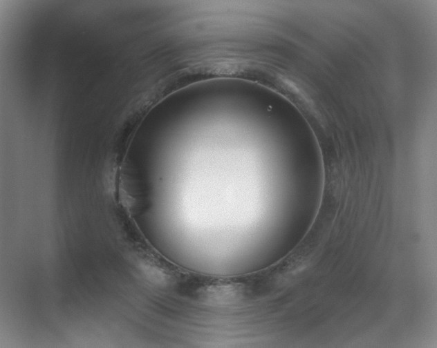 X0000071390307200606231319