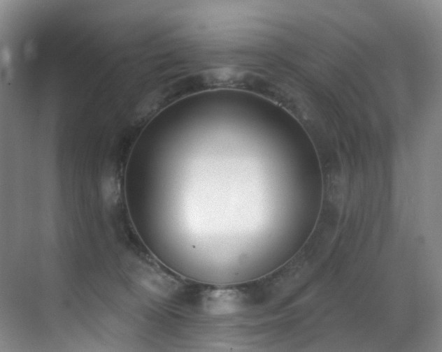 X0000071390324200606231318