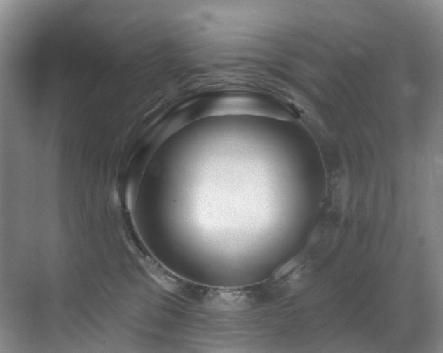 X0000071390329200606231318
