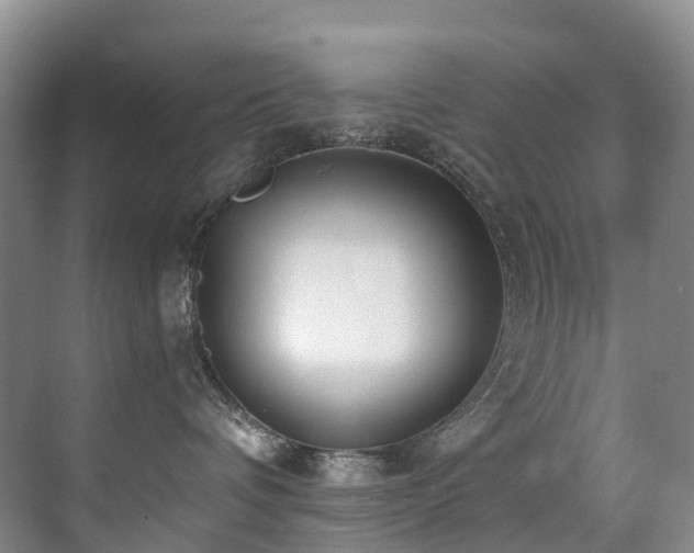 X0000071390336200606231318