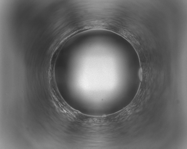 X0000071390338200606231317