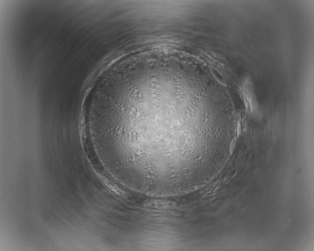 X0000071390339200606231317