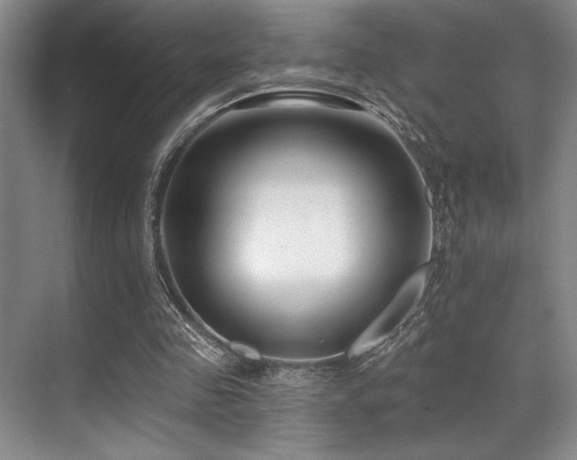 X0000071390341200606231317
