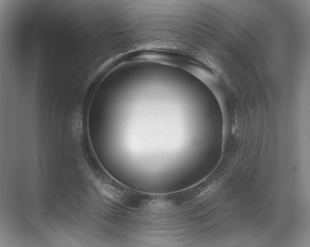 X0000071390348200606231317