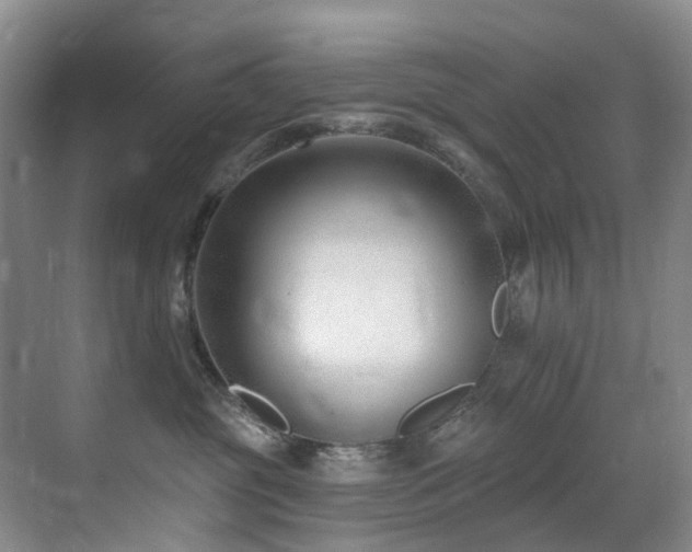 X0000071390381200606231318