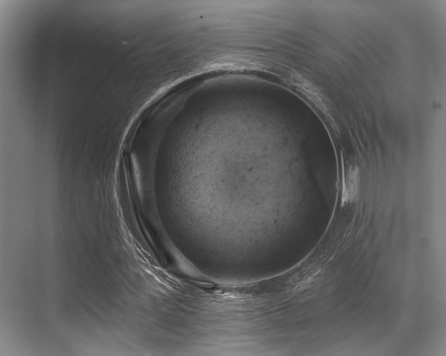 X0000071390387200606231317