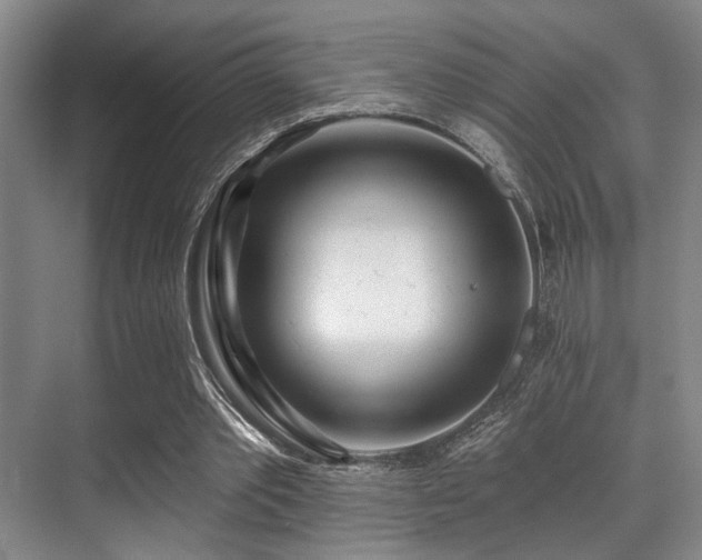 X0000071390389200606231317