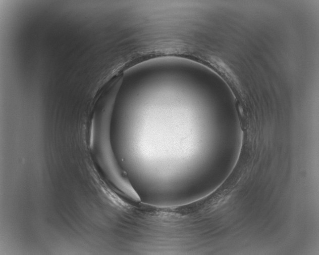 X0000071390393200606231317