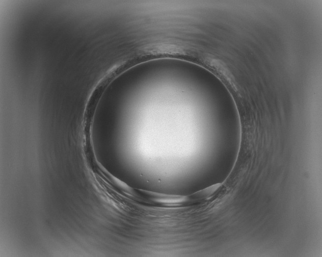 X0000071390395200606231317