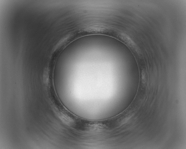 X0000071390396200606231317