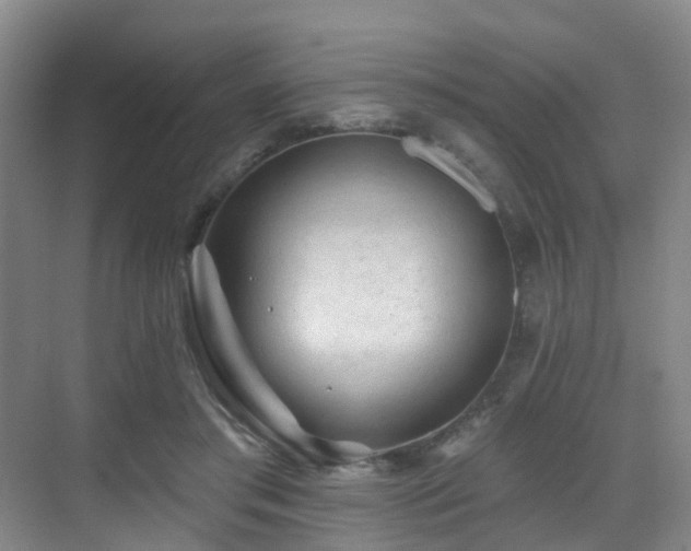 X0000071390405200606231317