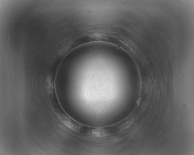 X0000071390420200606231317