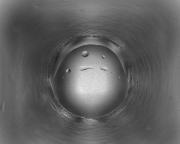 X0000071390429200606231316