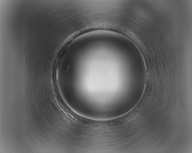 X0000071390434200606231316