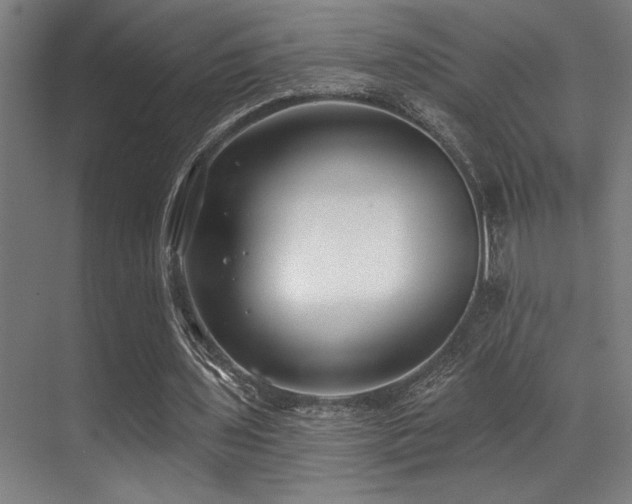 X0000071390435200606231316
