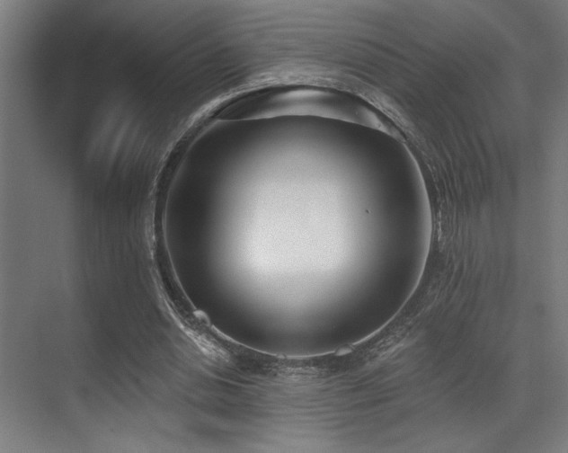 X0000071390438200606231316