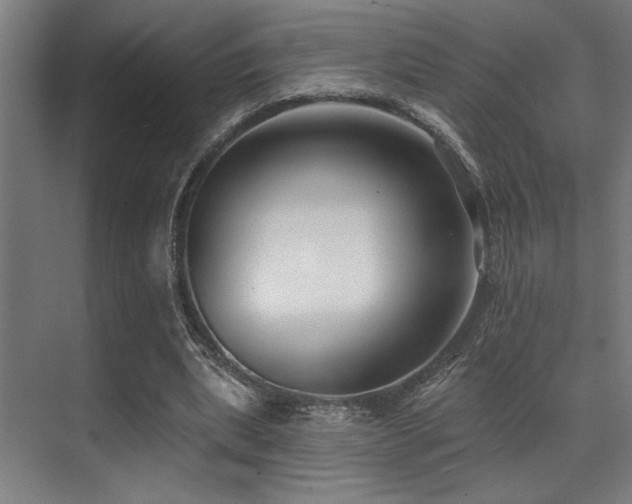 X0000071390439200606231316