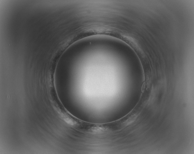 X0000071390453200606231316