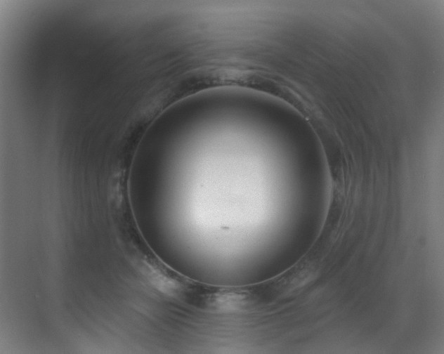 X0000071390462200606231316
