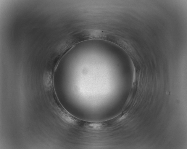 X0000071390478200606231316