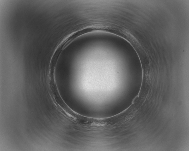 X0000071390484200606231316