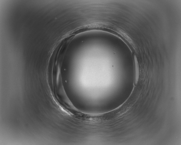 X0000071390485200606231316
