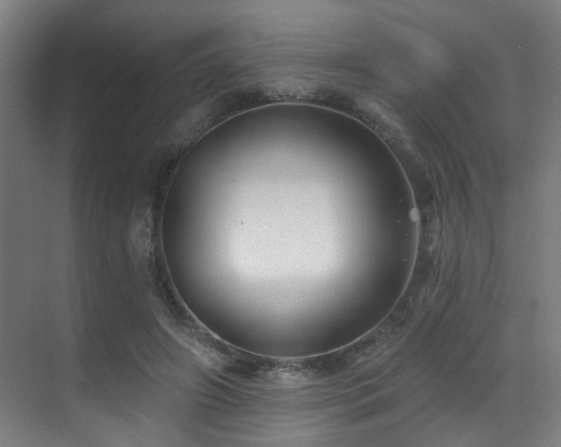 X0000071390498200606231315