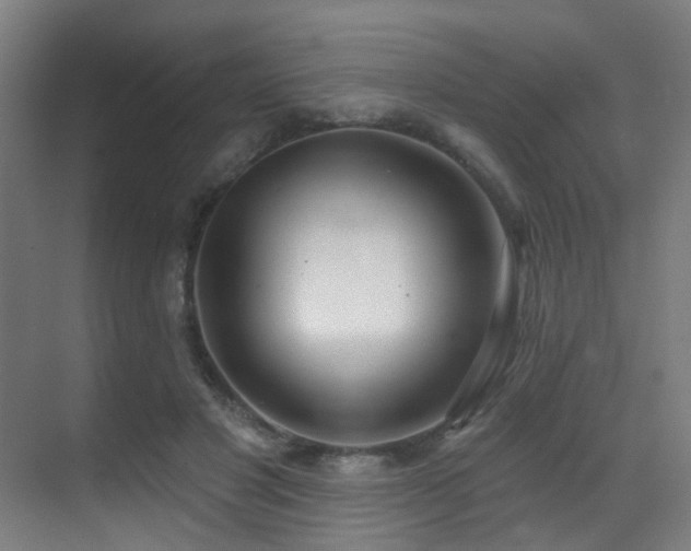 X0000071390501200606231315