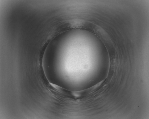 X0000071390508200606231315