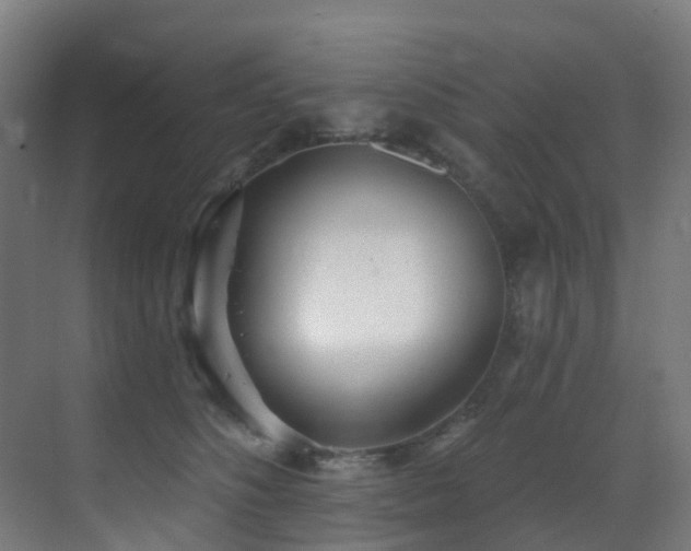 X0000071390516200606231315