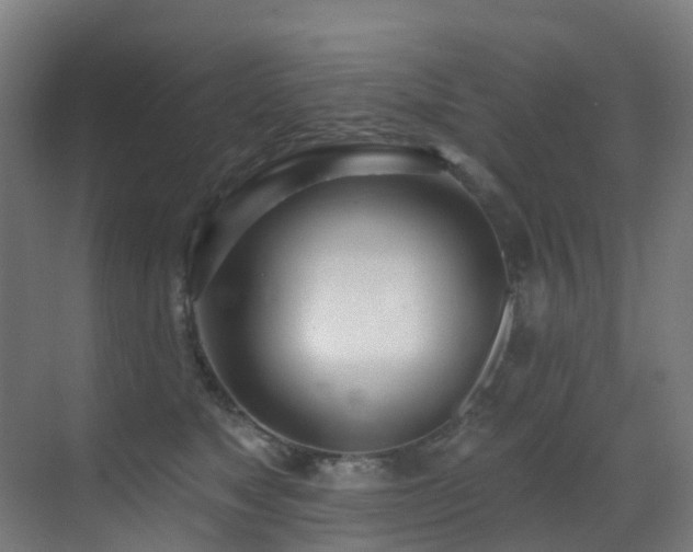 X0000071390517200606231315
