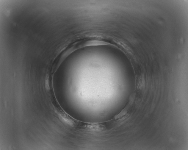 X0000071390524200606231315