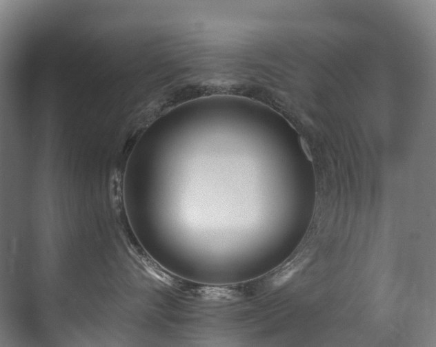 X0000071390528200606231315
