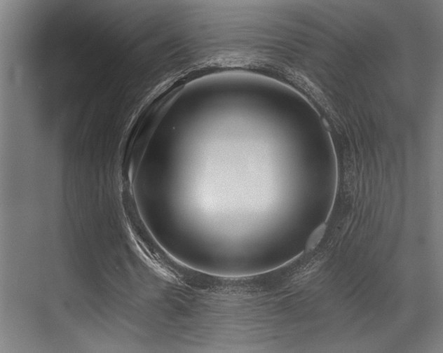 X0000071390530200606231314