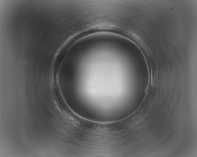 X0000071390531200606231314