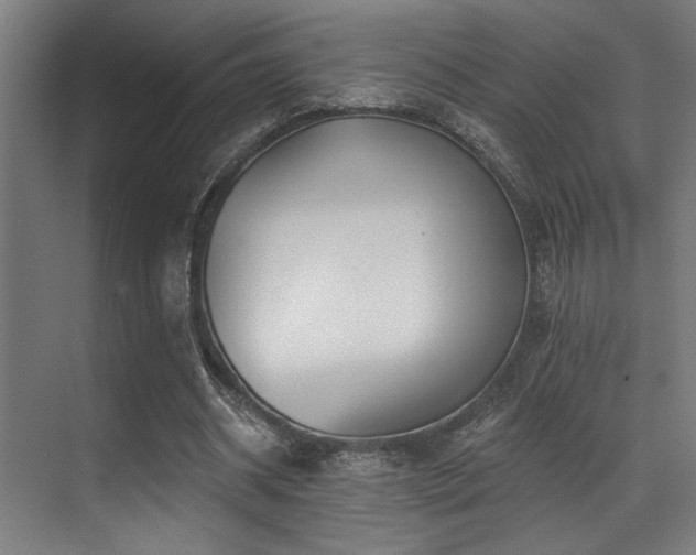X0000071390534200606231314