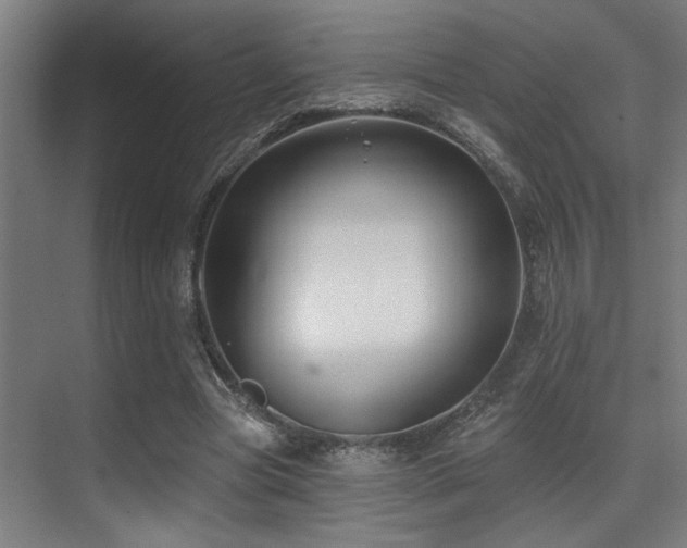 X0000071390537200606231314