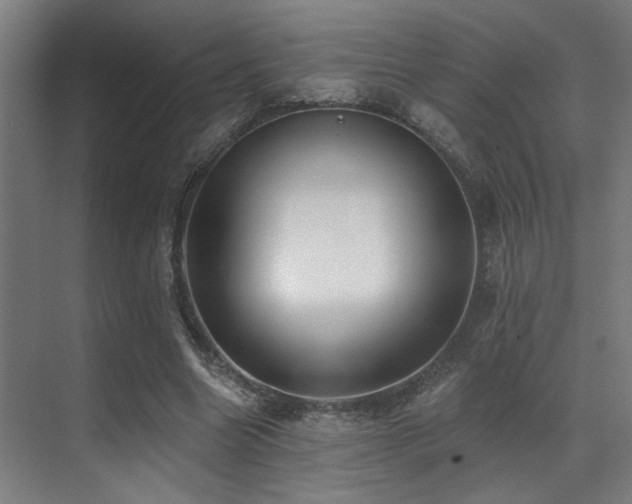 X0000071390538200606231314