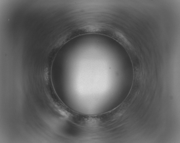 X0000071390549200606231314