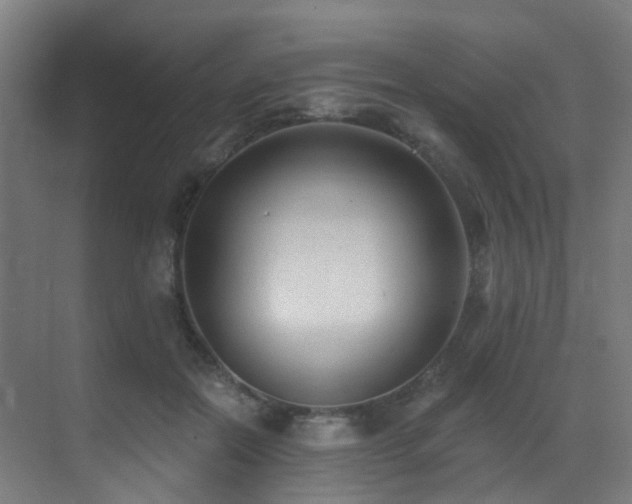 X0000071390554200606231314