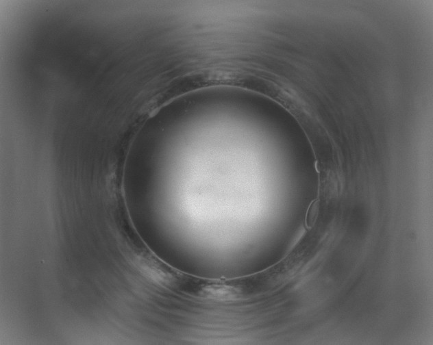 X0000071390557200606231314