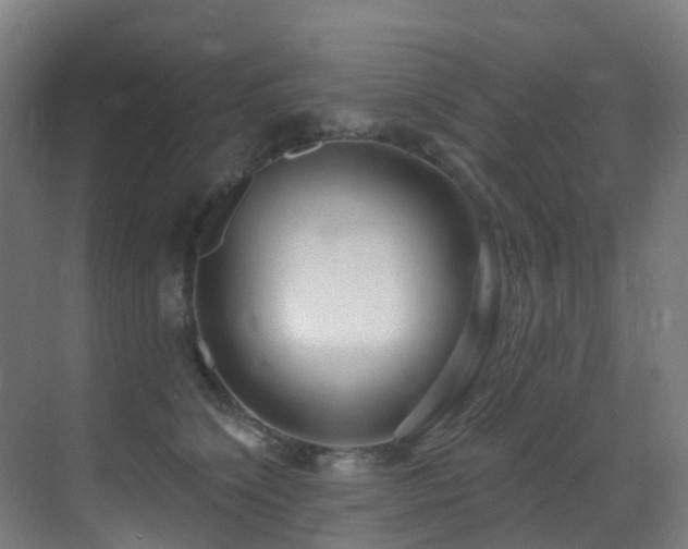 X0000071390564200606231315