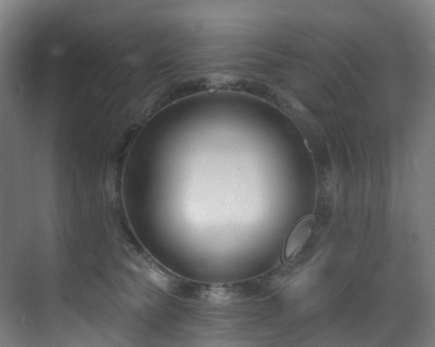 X0000071390565200606231315