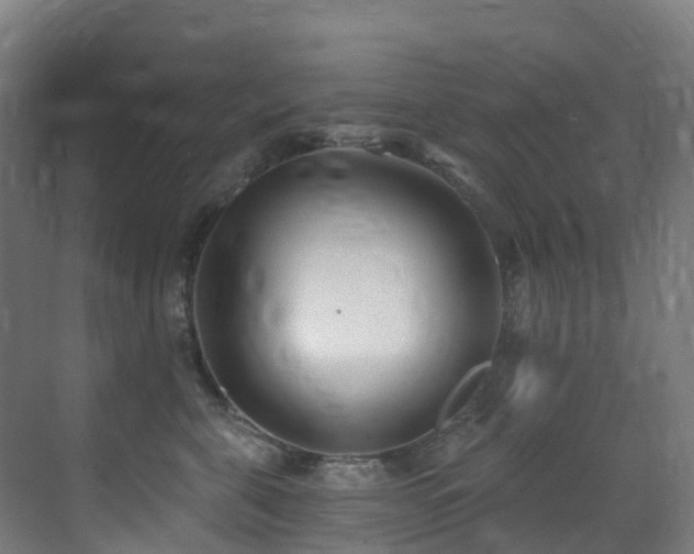 X0000071390571200606231315