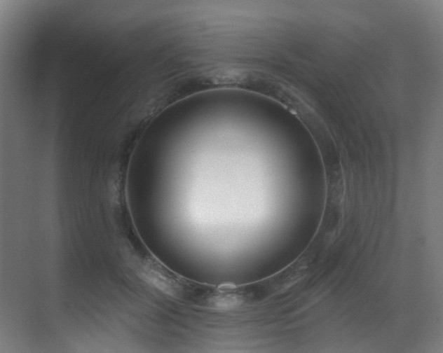 X0000071390604200606231314