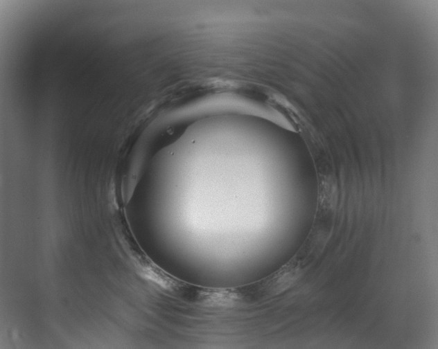 X0000071390621200606231313