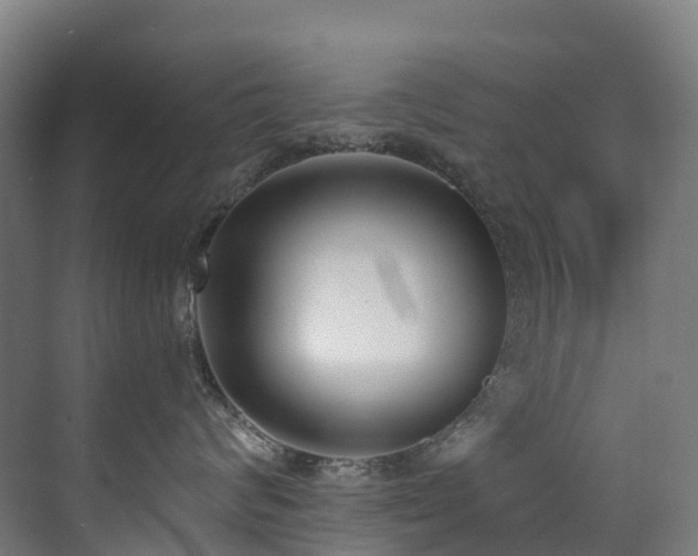 X0000071390624200606231313