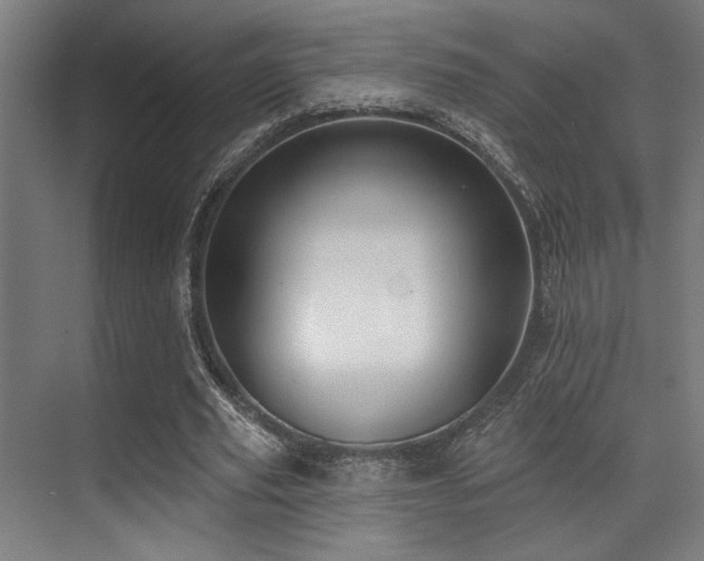 X0000071390629200606231312